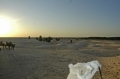 tunisia, atlas, roman, camels-24